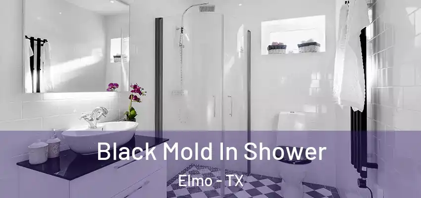 Black Mold In Shower Elmo - TX