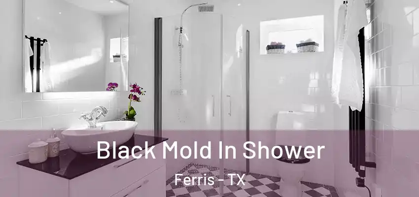  Black Mold In Shower Ferris - TX