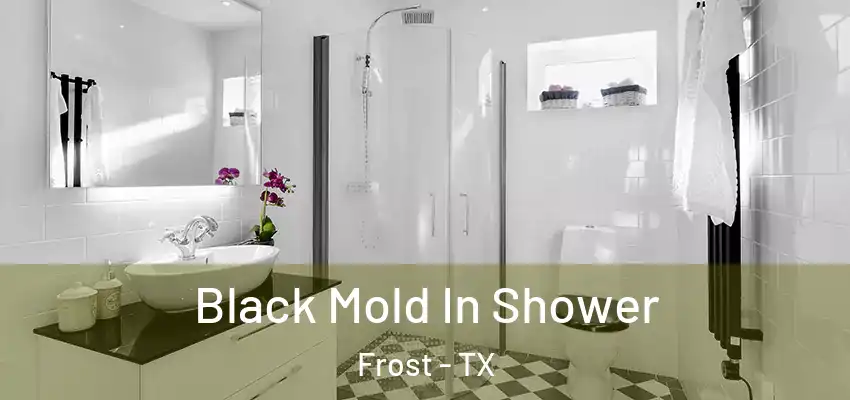  Black Mold In Shower Frost - TX