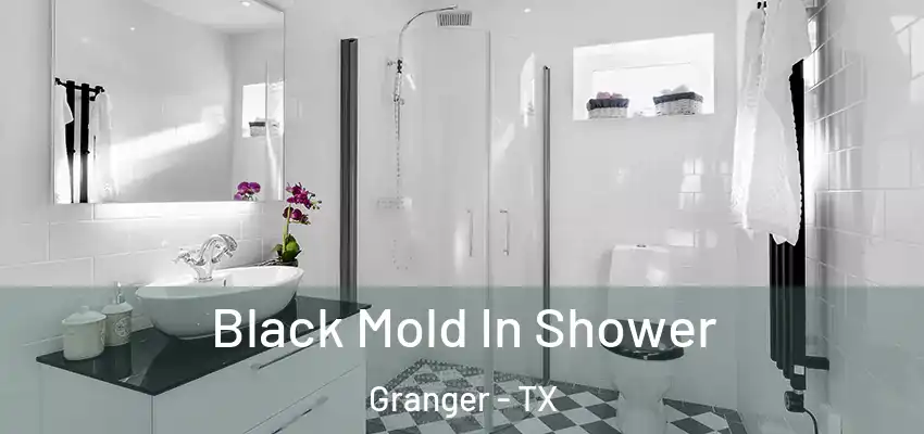 Black Mold In Shower Granger - TX