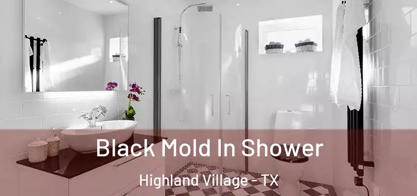  Black Mold In Shower Highland Village - TX