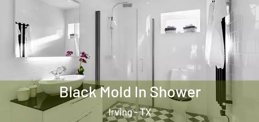  Black Mold In Shower Irving - TX