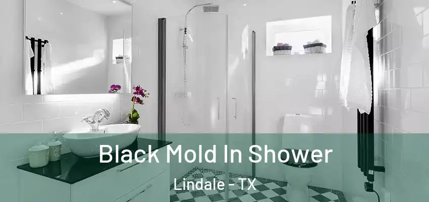 Black Mold In Shower Lindale - TX