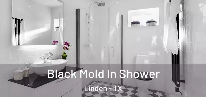Black Mold In Shower Linden - TX