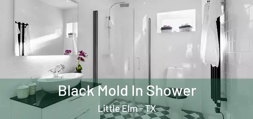 Black Mold In Shower Little Elm - TX