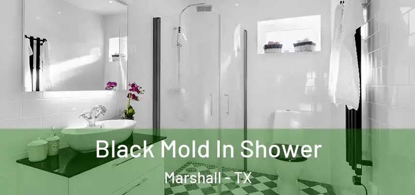 Black Mold In Shower Marshall - TX