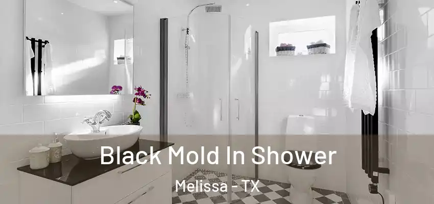  Black Mold In Shower Melissa - TX