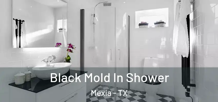  Black Mold In Shower Mexia - TX