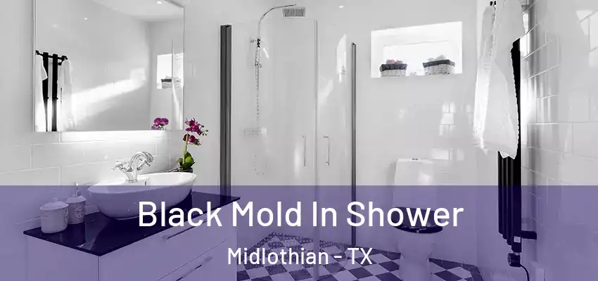  Black Mold In Shower Midlothian - TX