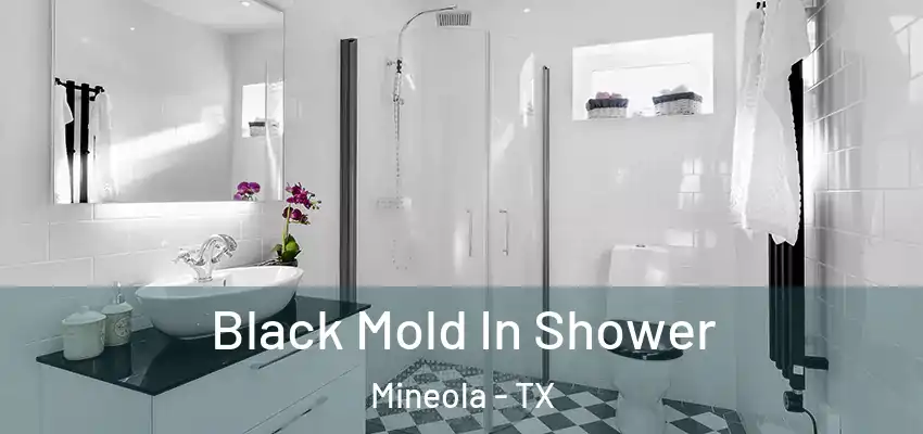  Black Mold In Shower Mineola - TX