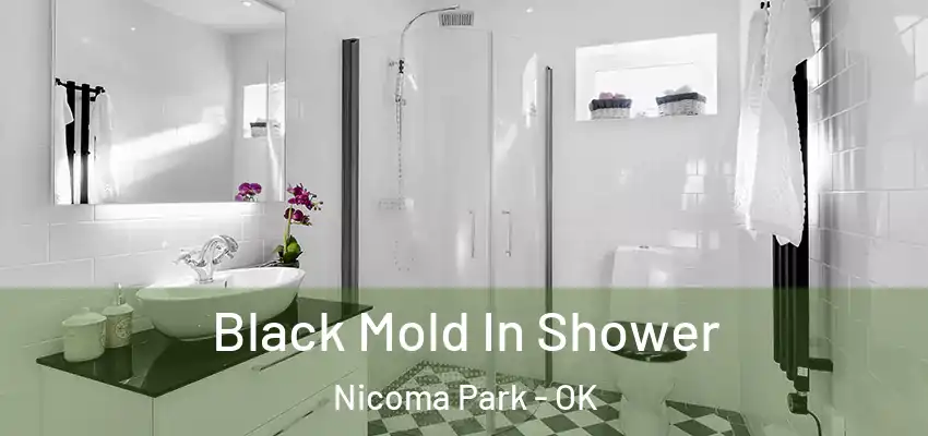  Black Mold In Shower Nicoma Park - OK