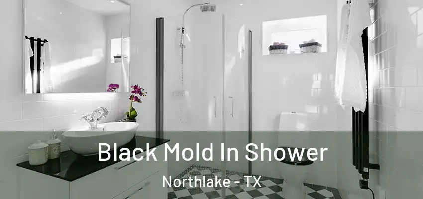 Black Mold In Shower Northlake - TX
