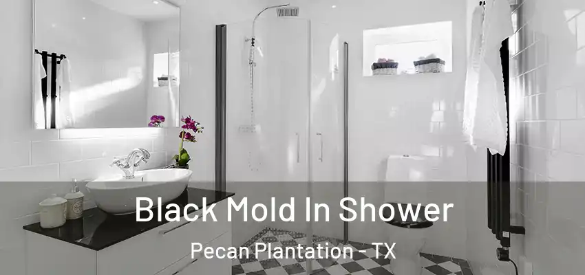  Black Mold In Shower Pecan Plantation - TX