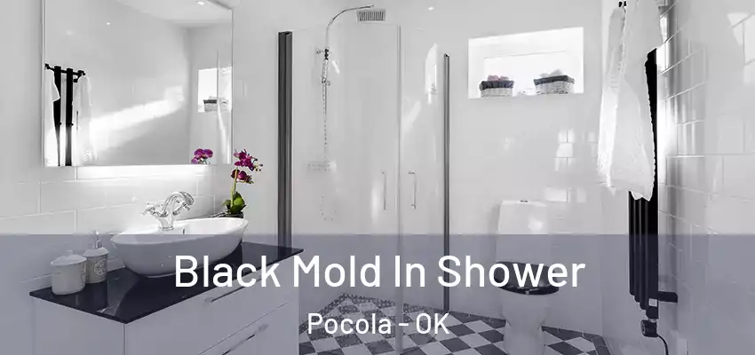 Black Mold In Shower Pocola - OK
