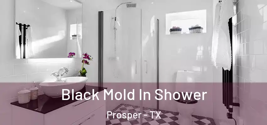 Black Mold In Shower Prosper - TX