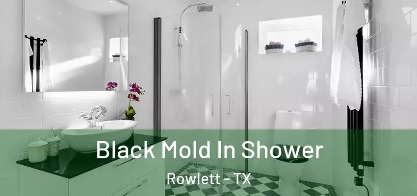 Black Mold In Shower Rowlett - TX