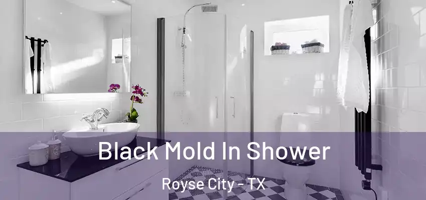  Black Mold In Shower Royse City - TX