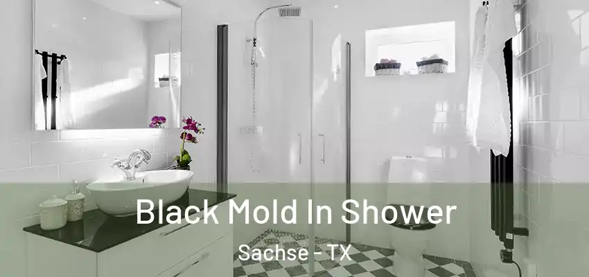 Black Mold In Shower Sachse - TX