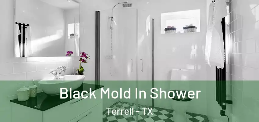 Black Mold In Shower Terrell - TX