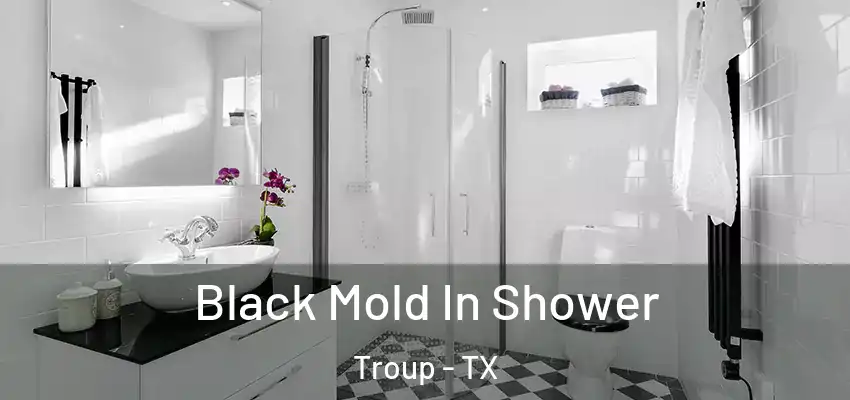  Black Mold In Shower Troup - TX