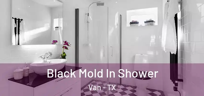 Black Mold In Shower Van - TX