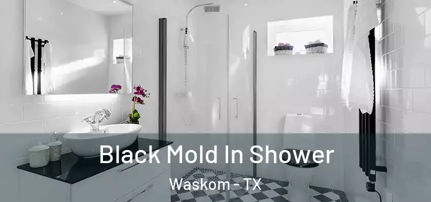  Black Mold In Shower Waskom - TX
