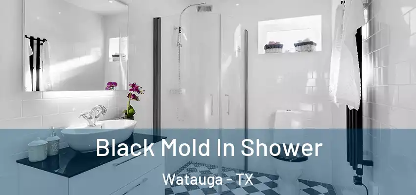 Black Mold In Shower Watauga - TX
