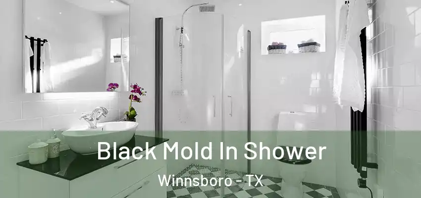  Black Mold In Shower Winnsboro - TX