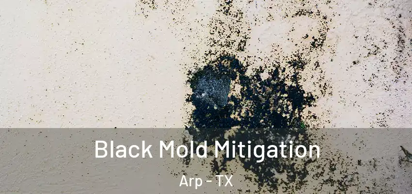  Black Mold Mitigation Arp - TX