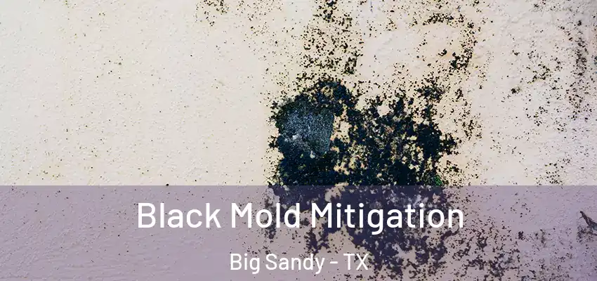 Black Mold Mitigation Big Sandy - TX