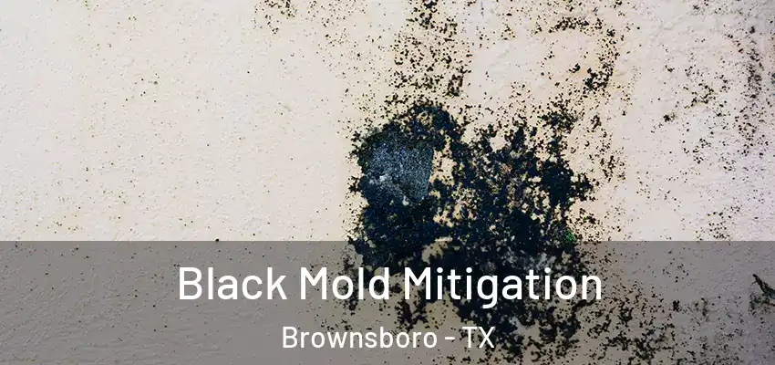  Black Mold Mitigation Brownsboro - TX