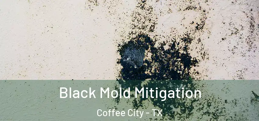  Black Mold Mitigation Coffee City - TX