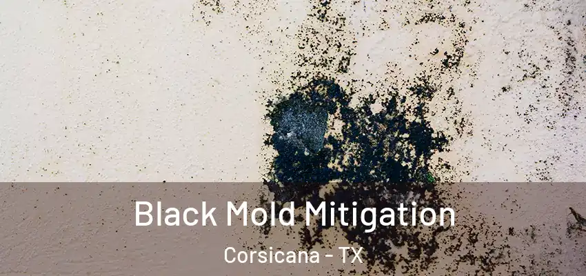  Black Mold Mitigation Corsicana - TX