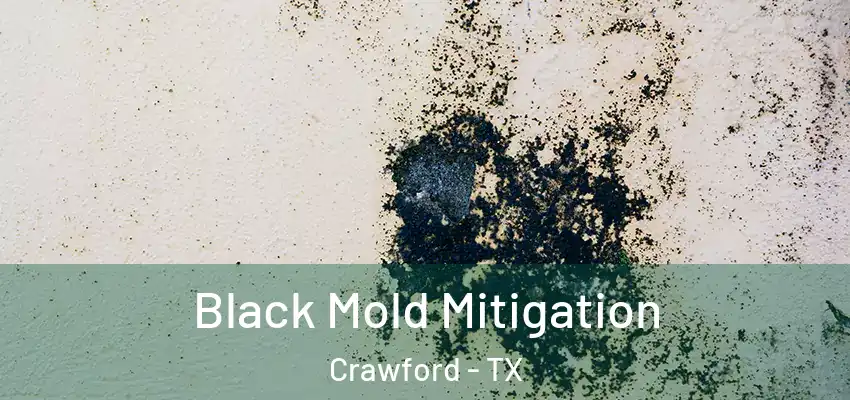  Black Mold Mitigation Crawford - TX