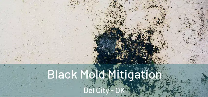  Black Mold Mitigation Del City - OK