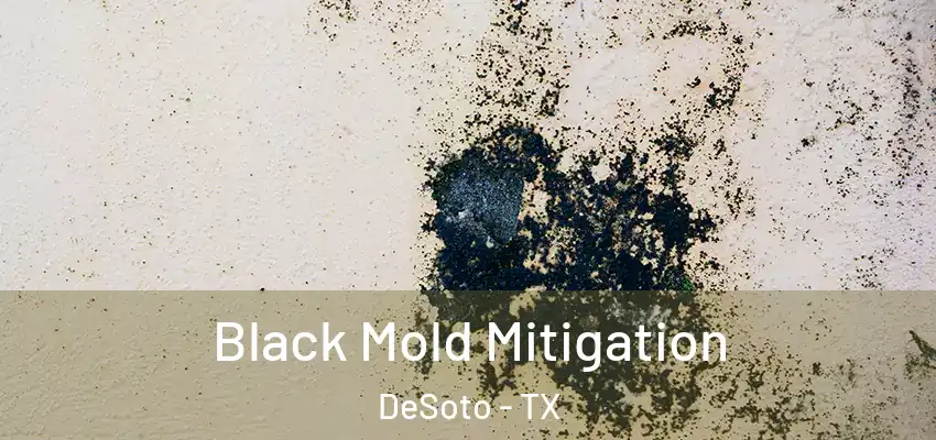 Black Mold Mitigation DeSoto - TX
