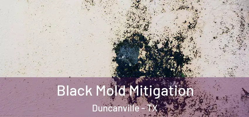  Black Mold Mitigation Duncanville - TX