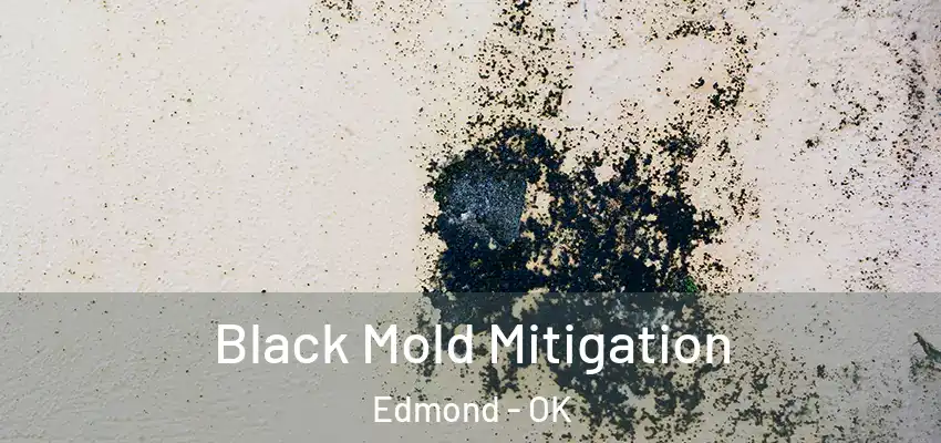  Black Mold Mitigation Edmond - OK