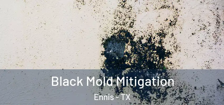 Black Mold Mitigation Ennis - TX