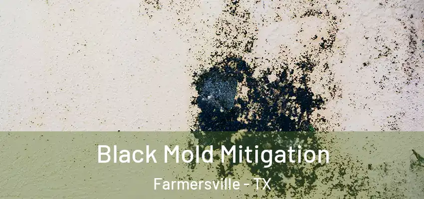 Black Mold Mitigation Farmersville - TX
