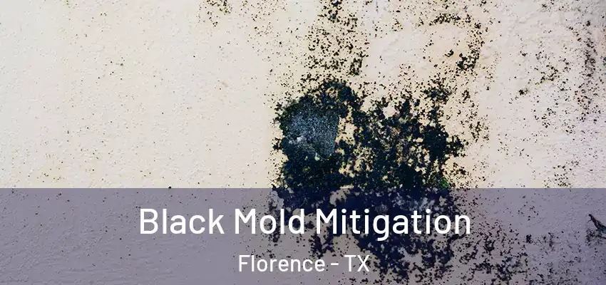  Black Mold Mitigation Florence - TX