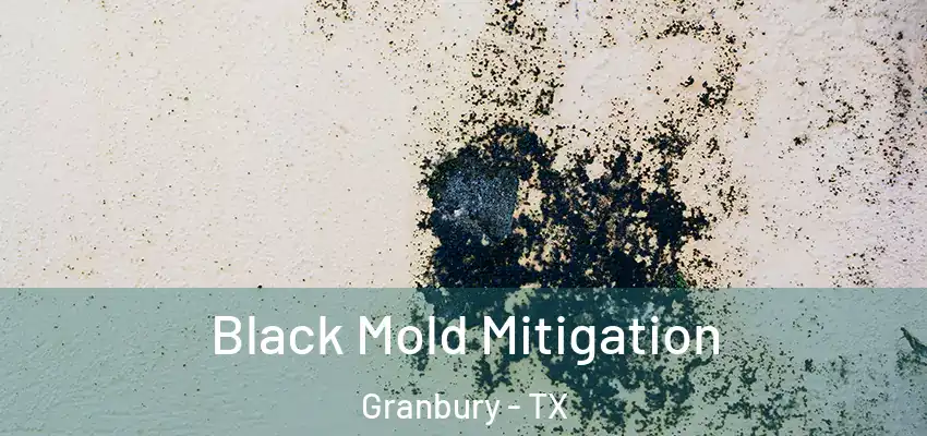 Black Mold Mitigation Granbury - TX