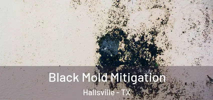 Black Mold Mitigation Hallsville - TX