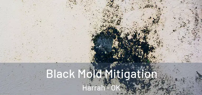 Black Mold Mitigation Harrah - OK