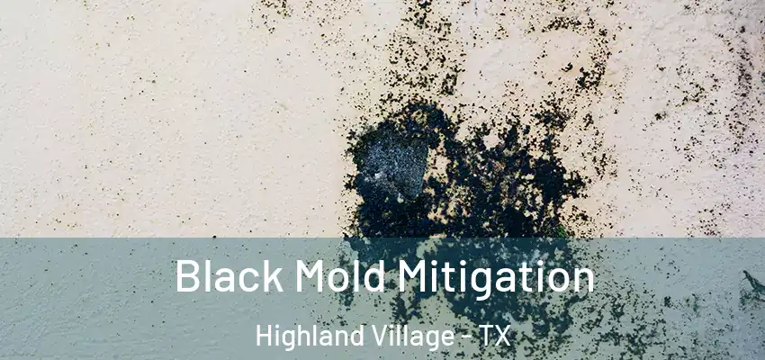  Black Mold Mitigation Highland Village - TX
