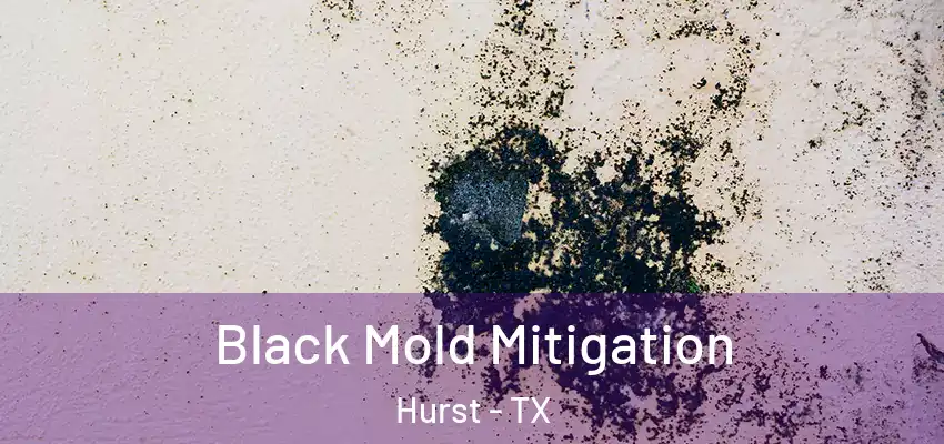 Black Mold Mitigation Hurst - TX