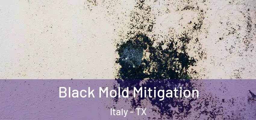 Black Mold Mitigation Italy - TX
