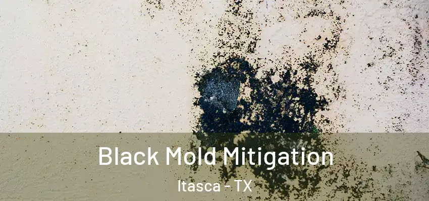 Black Mold Mitigation Itasca - TX