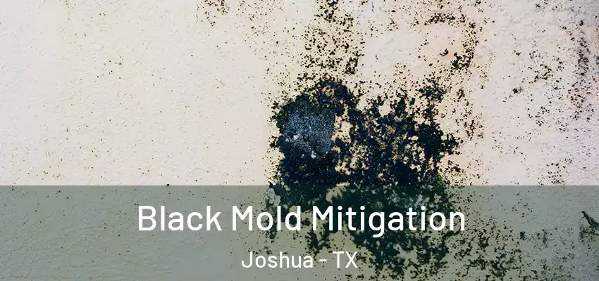  Black Mold Mitigation Joshua - TX