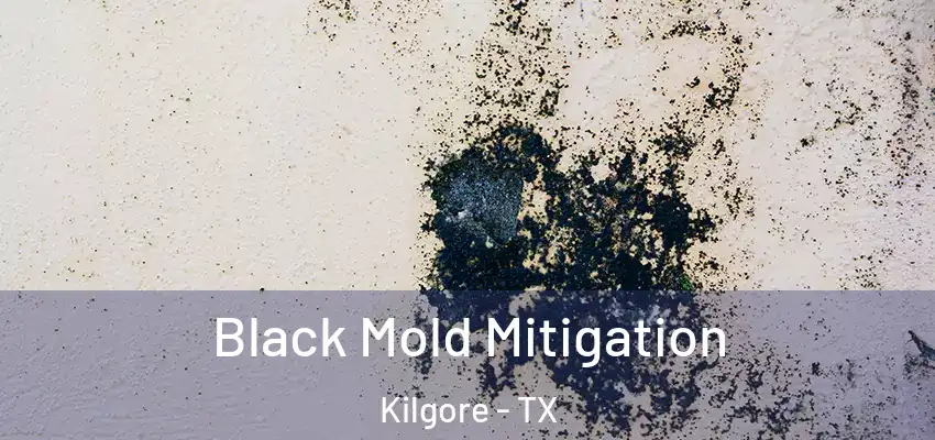  Black Mold Mitigation Kilgore - TX